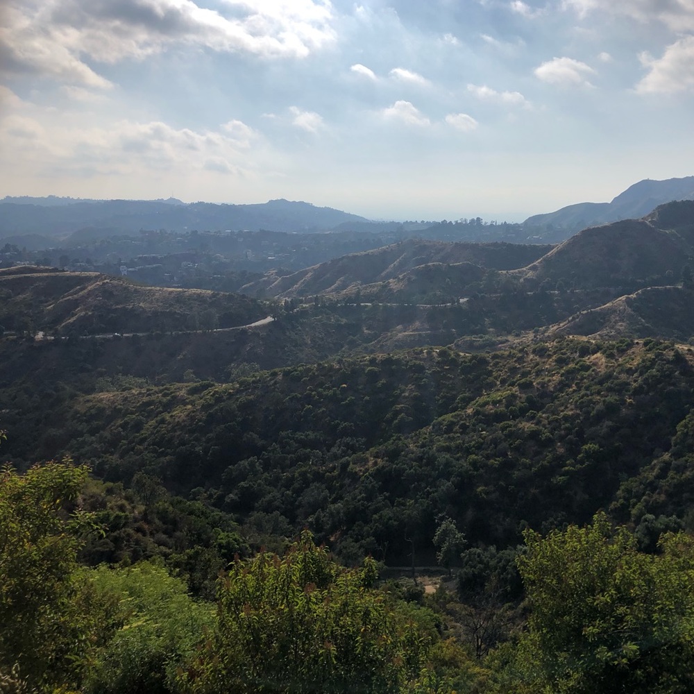 Meet your Posher, Deirdre